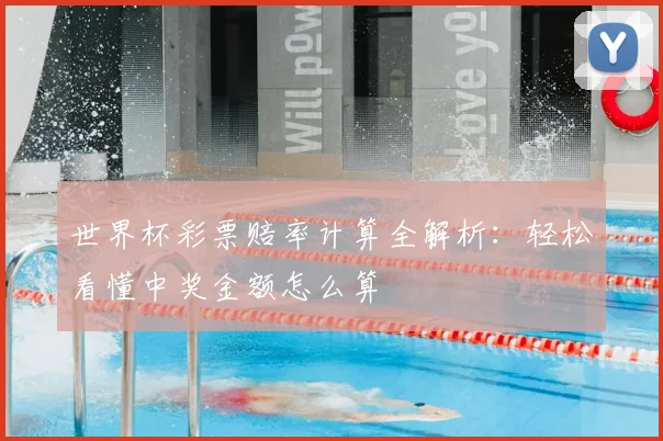 世界杯彩票赔率计算全解析：轻松看懂中奖金额怎么算