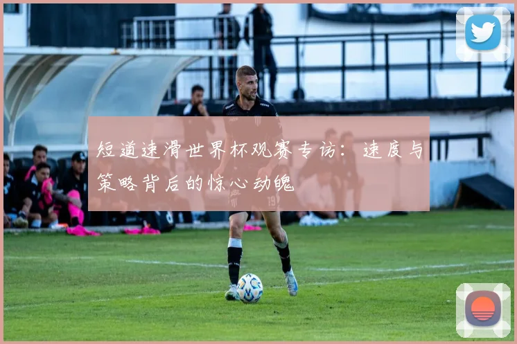 短道速滑世界杯观赛专访：速度与策略背后的惊心动魄