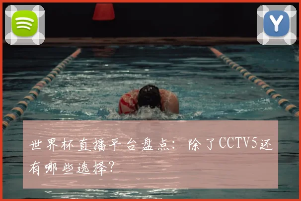 世界杯直播平台盘点：除了CCTV5还有哪些选择？