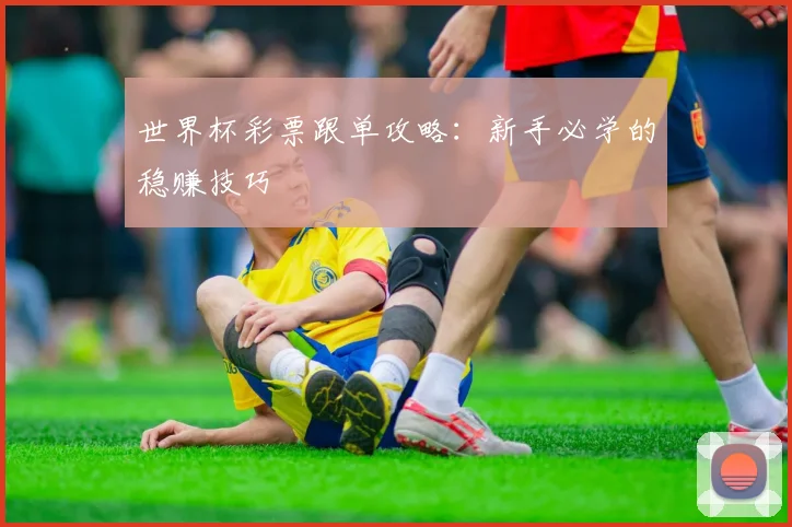 世界杯彩票跟单攻略：新手必学的稳赚技巧