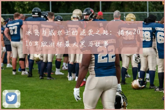 冰岛与威尔士的逆袭之路:揭秘2016年欧洲杯最大黑马故事