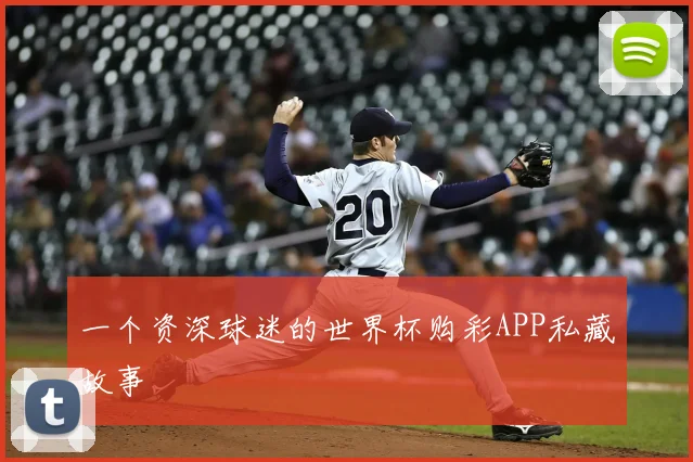 一个资深球迷的世界杯购彩APP私藏故事