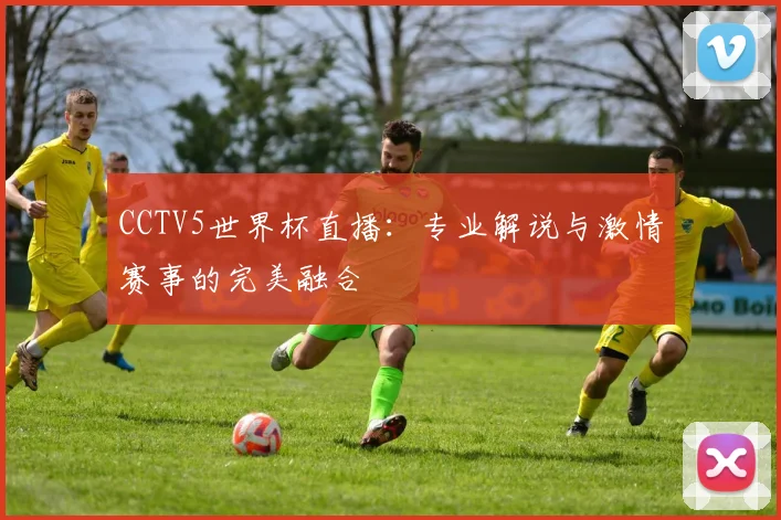 CCTV5世界杯直播:专业解说与激情赛事的完美融合