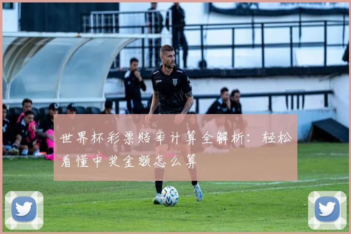 世界杯彩票赔率计算全解析：轻松看懂中奖金额怎么算