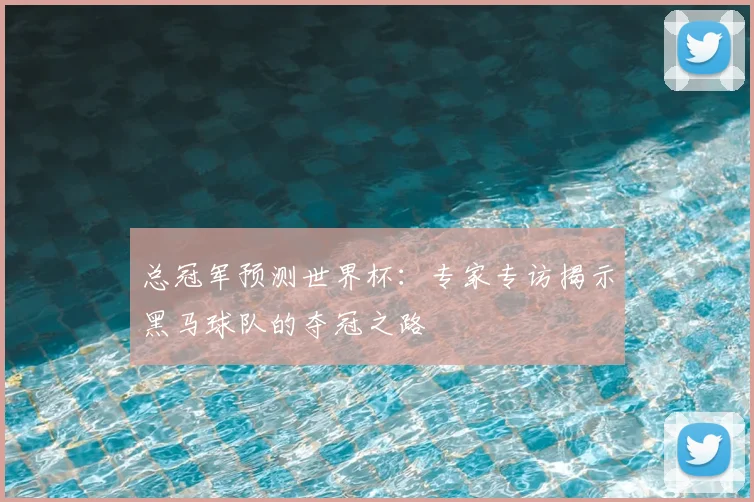 总冠军预测世界杯：专家专访揭示黑马球队的夺冠之路