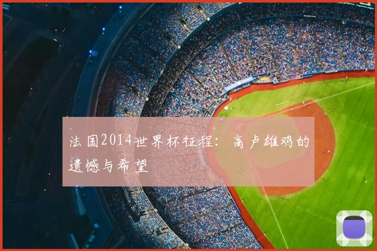 法国2014世界杯征程：高卢雄鸡的遗憾与希望