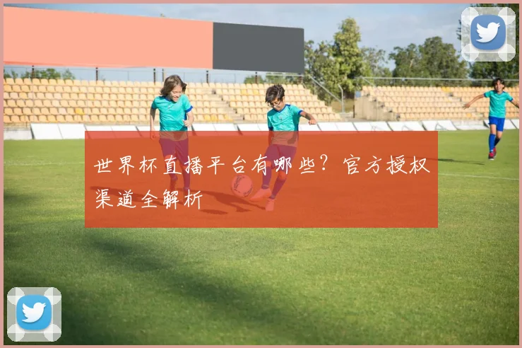 世界杯直播平台有哪些?官方授权渠道全解析