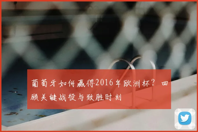 葡萄牙如何赢得2016年欧洲杯?回顾关键战役与致胜时刻
