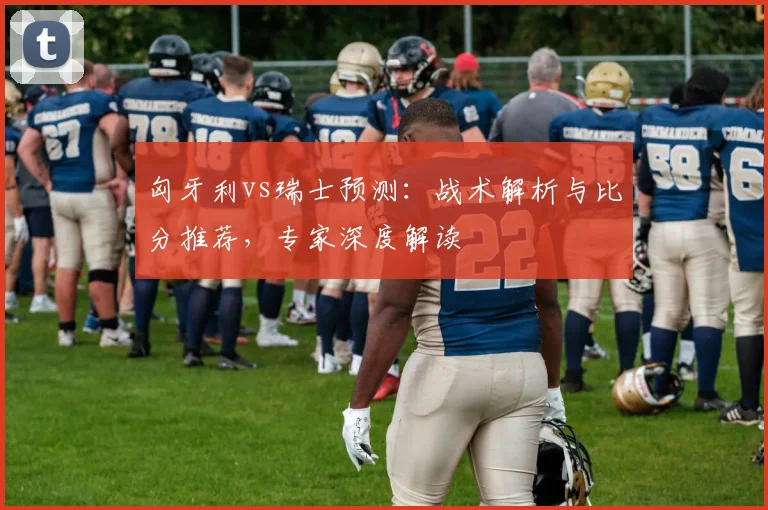 匈牙利vs瑞士预测：战术解析与比分推荐，专家深度解读