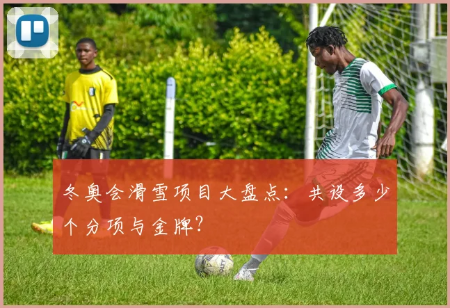 冬奥会滑雪项目大盘点：共设多少个分项与金牌？